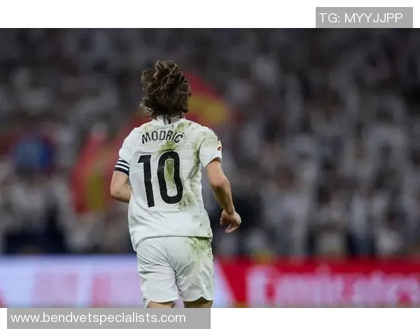 71岁足球明星离世球迷哀悼传奇生涯与永恒记忆