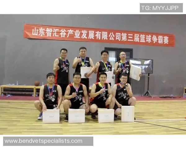 上海篮球队团队协作的创新变革与未来发展探讨