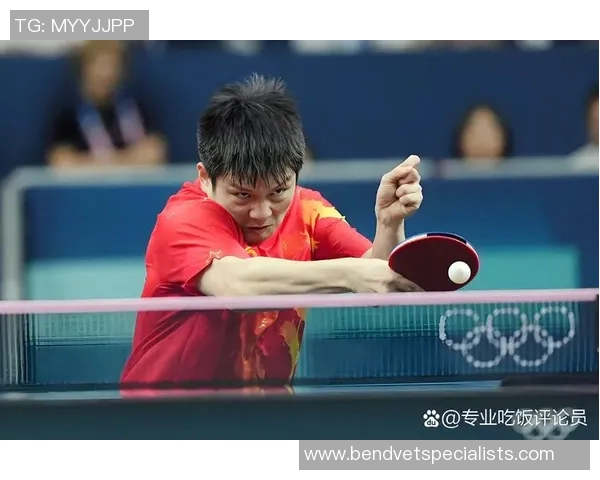 乒乓球实力排行榜权威发布揭示个人能力新格局与发展趋势 乒乓球实力排行榜权威发布揭示个人能力新格局与发展趋势