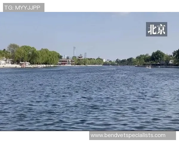 北京羽毛球队的转型升级之路与未来发展展望