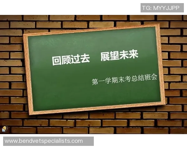 北京足球队运营分析：成败背后的深层原因与未来展望