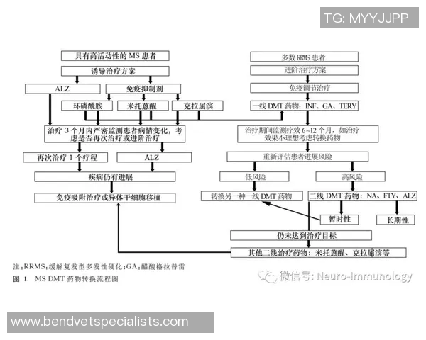 南京乒乓球队耐力训练的关键因素与提升策略探讨
