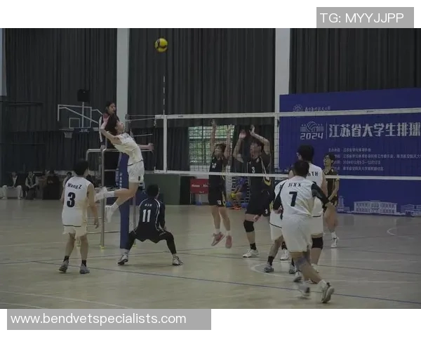 南京排球队逆袭之旅揭秘杯赛背后的拼搏与坚持 南京排球队逆袭之旅揭秘杯赛背后的拼搏与坚持