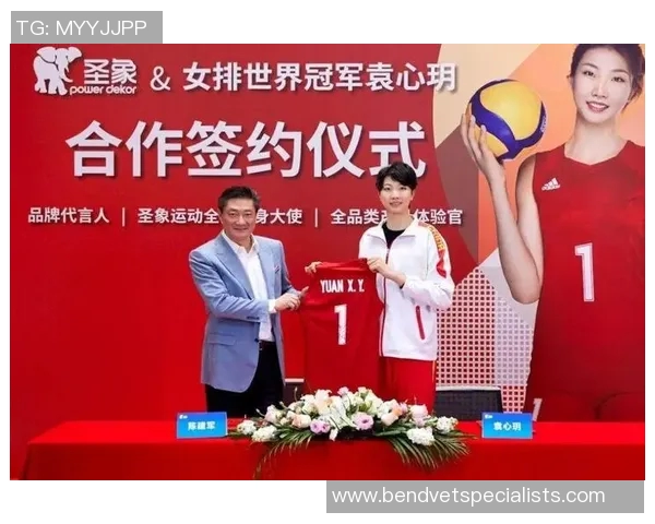 南京网球队强势崛起最新网球状态TOP10排行榜揭晓 南京网球队强势崛起最新网球状态TOP10排行榜揭晓