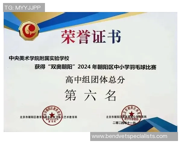 南京羽毛球队个人能力排行榜第六名展现实力与潜力的完美结合 南京羽毛球队个人能力排行榜第六名展现实力与潜力的完美结合