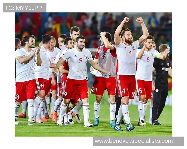 卢森堡足球明星的崛起与成就探讨 卢森堡足球明星的崛起与成就探讨