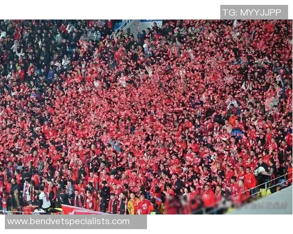 南京足球队团队协作引发热议球迷对战术配合的不同看法与争论 南京足球队团队协作引发热议球迷对战术配合的不同看法与争论