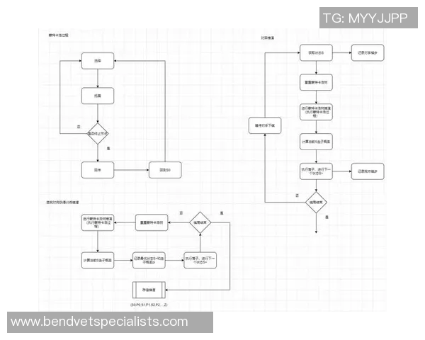 广州羽毛球队的盯防策略揭秘与深度分析探讨 广州羽毛球队的盯防策略揭秘与深度分析探讨