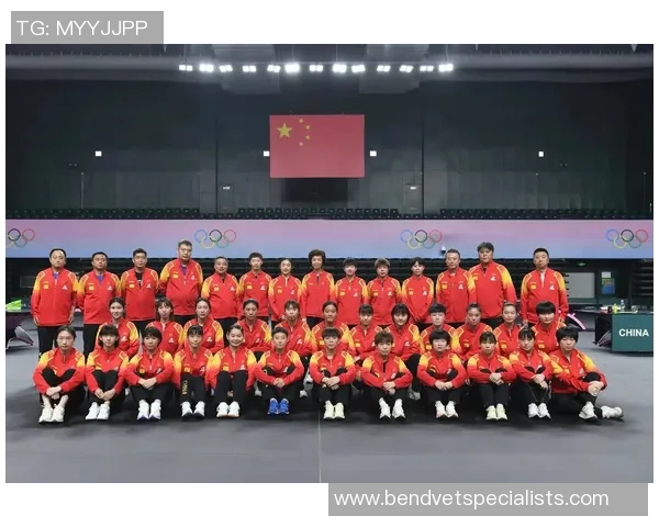 成都乒乓球队灵活转换打法的深度分析与战术探讨