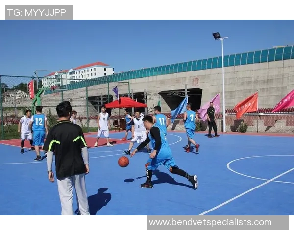 成都篮球队的奋斗历程与冠军赛背后的故事揭秘 成都篮球队的奋斗历程与冠军赛背后的故事揭秘