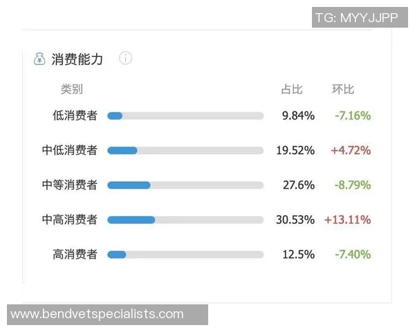 成都排球队在城市联赛中的团队协作表现分析与点评 成都排球队在城市联赛中的团队协作表现分析与点评