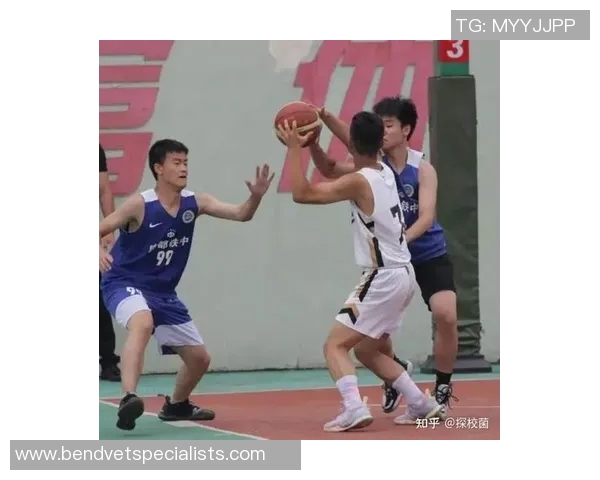 成都篮球队与深圳篮球队实力对比赛后分析与总结 成都篮球队与深圳篮球队实力对比赛后分析与总结