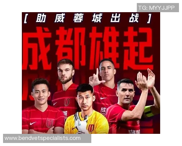 成都足球队实力强劲荣登全国足球实力排行榜第六名 成都足球队实力强劲荣登全国足球实力排行榜第六名