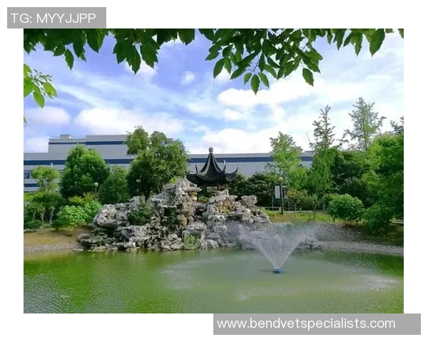 杭州排球队的崛起之路：从默默无闻到世锦赛的荣耀之旅