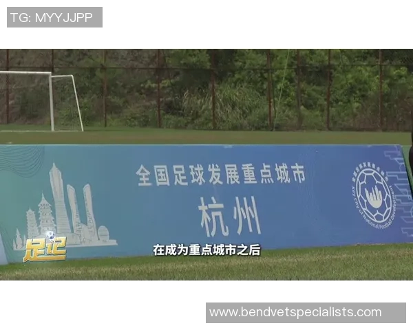 杭州足球队在足球意识排行榜中荣获第三名展现出强大实力与潜力