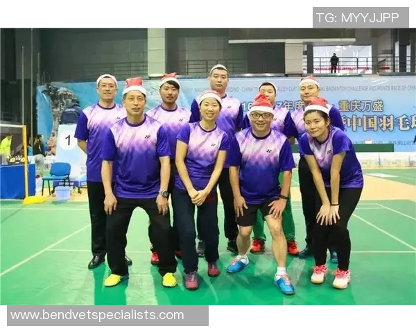 杭州羽毛球队挑战赛表现分析与状态评估全面解读