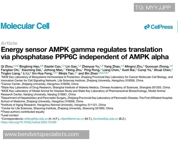 杭州足球队选拔赛点评团队协作表现分析与未来发展展望