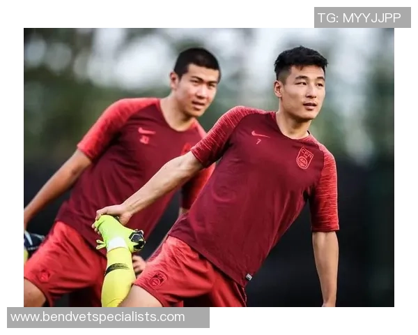 武汉乒乓球队战术引发热议球迷与专家的观点碰撞与思考