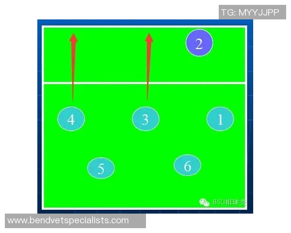 武汉排球队的转换体系与排球战术创新探索之路
