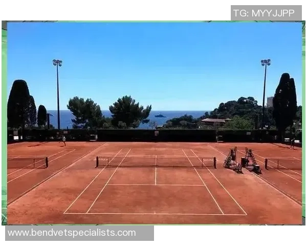 武汉网球队防守策略分析及其对比赛结果的影响探讨