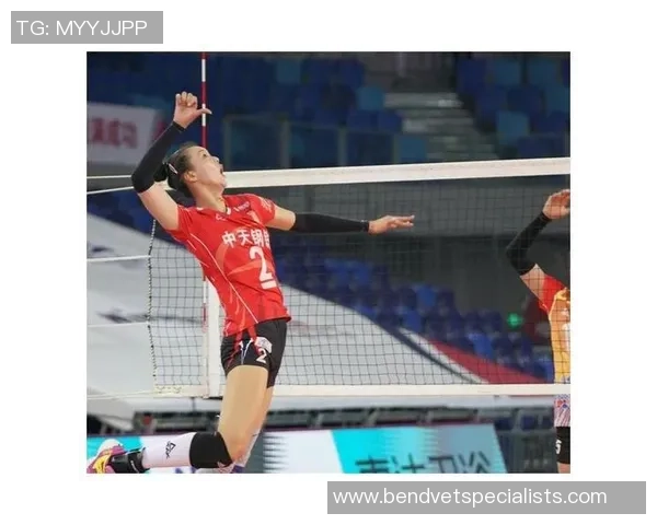 深圳排球队中路突破的优势与不足分析及未来发展方向探讨 深圳排球队中路突破的优势与不足分析及未来发展方向探讨