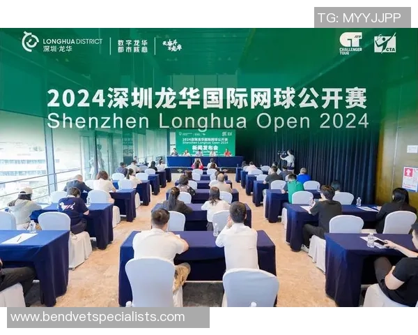 深圳网球队在全国网球比赛经验排行榜中荣获第六名的佳绩分析