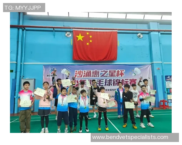 深圳羽毛球队在杯赛中的技术表现分析与未来发展展望