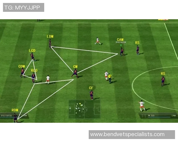 深圳羽毛球队防守体系解析与战术运用研究