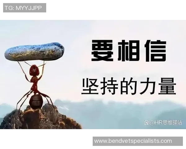 深度对话吴强排球人生的追求与坚持探索之路 深度对话吴强排球人生的追求与坚持探索之路