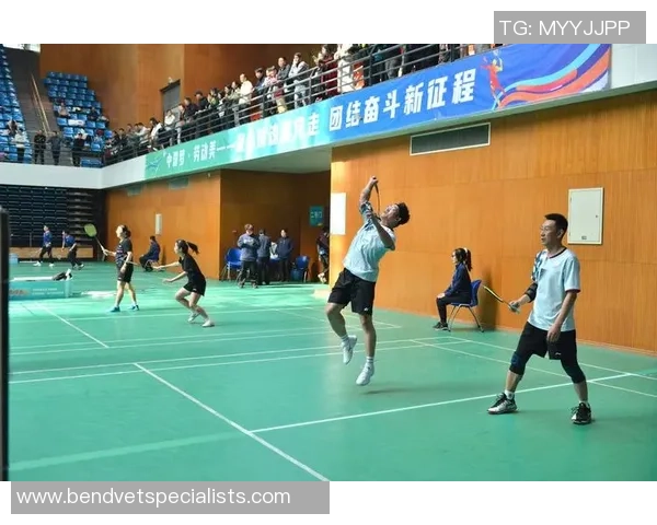 西安羽毛球队实力深度剖析与对比研究