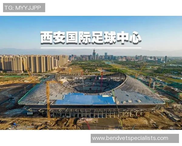 西安足球队阵地战分析：优劣势及未来发展方向探讨