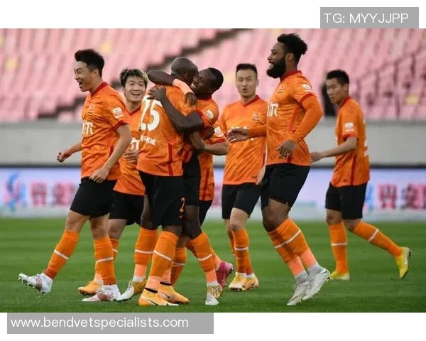 赛后分析：上海足球队与武汉足球队的速度对决全景回顾