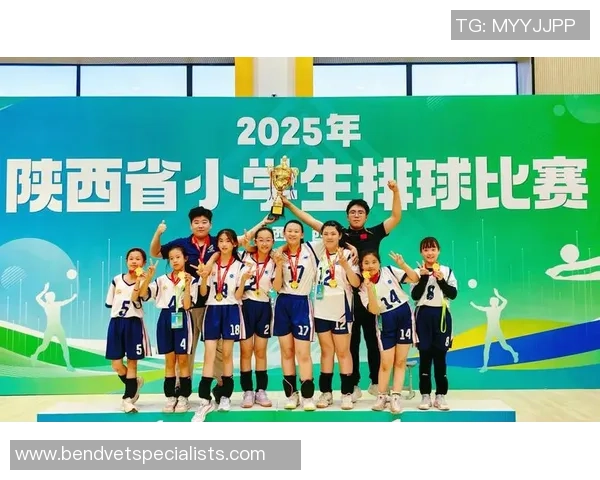 赵芳的排球人生:从赛场拼搏到心灵深处的对话与成长 赵芳的排球人生:从赛场拼搏到心灵深处的对话与成长