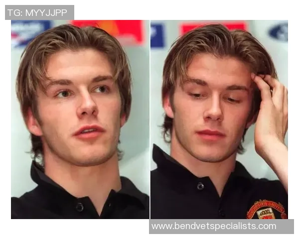 足球明星中最丑球员排行榜揭晓谁是颜值最低的传奇人物