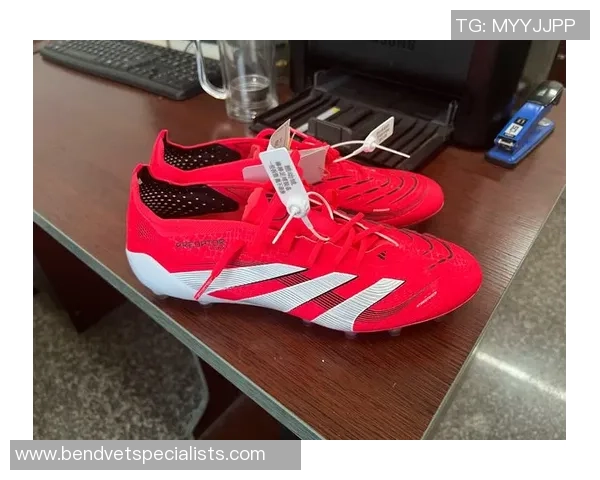 足球明星鞋码揭秘不同球员的脚步与风格之选 足球明星鞋码揭秘不同球员的脚步与风格之选