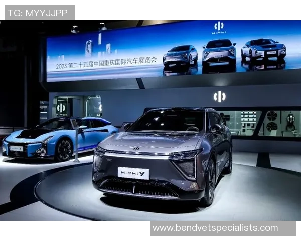 重庆排球队中路突破革新引领战术变革与未来发展探讨 重庆排球队中路突破革新引领战术变革与未来发展探讨