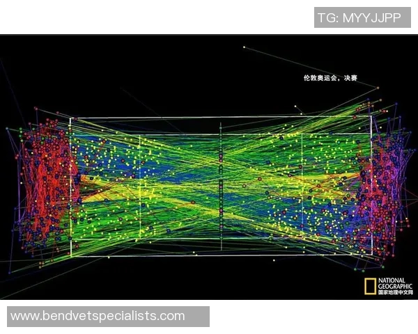 专业解读：西安网球队的阵地战打法