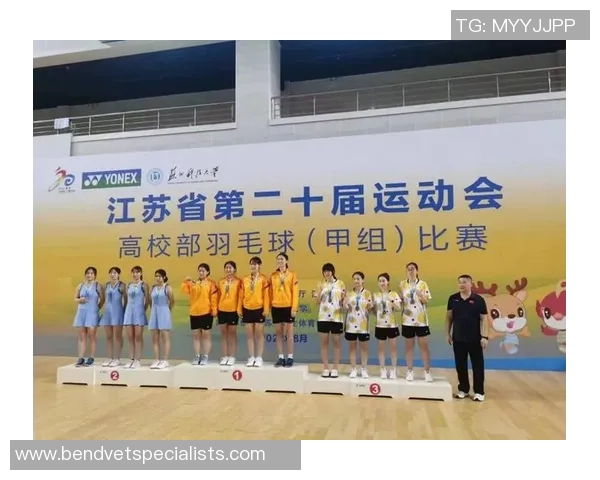 数据分析：西安羽毛球队的力量表现