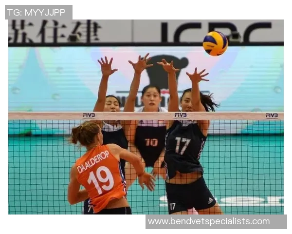 欧锦赛特别报道：重庆排球队的奋斗经历