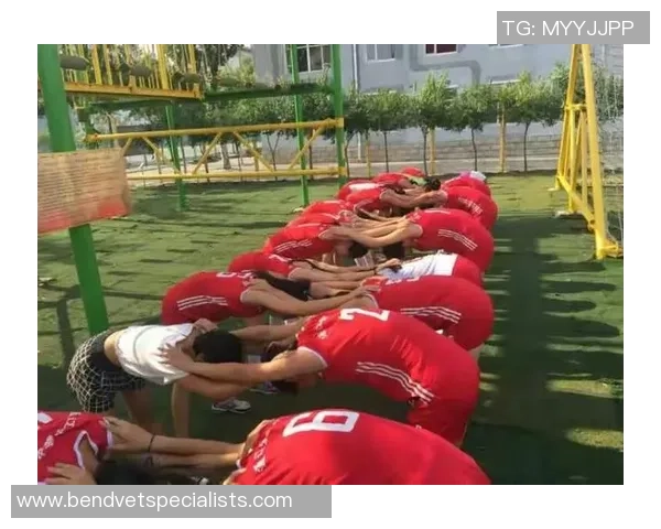 奥运会点评：北京排球队的心理素质表现