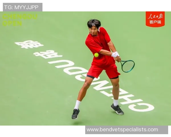 网球巨献：探秘成都网球队的意识