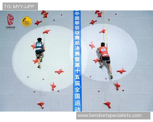 攀岩联赛积分榜：广州滑板队以63分领跑