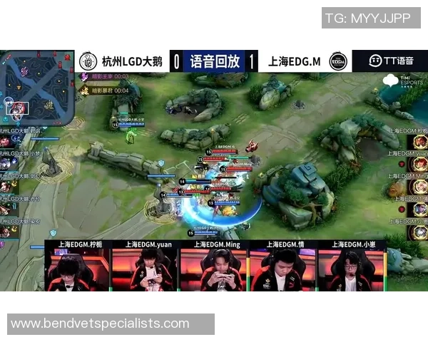 聚焦王者荣耀：EDG的状态话题