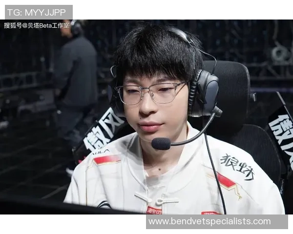 王者荣耀热议:TES的力量争议 王者荣耀热议:TES的力量争议