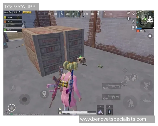 和平精英专题:聚焦IG的个人能力 和平精英专题:聚焦IG的个人能力