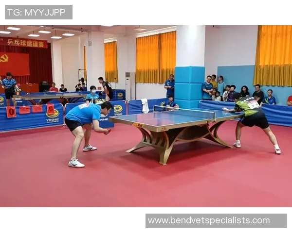 深度对话:陈磊的乒乓球人生 深度对话:陈磊的乒乓球人生