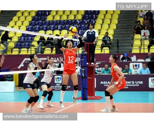 排球热点:解读西安排球队的运营 排球热点:解读西安排球队的运营