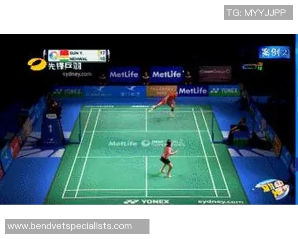 羽毛球战术：南京羽毛球队的快攻体系