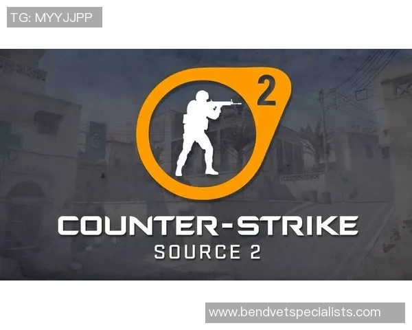 CS_GO战术:TES的转换体系