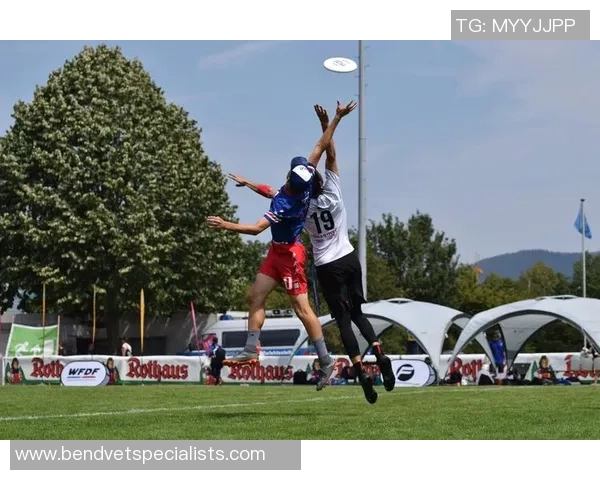 赛后复盘：武汉飞盘队 vs 深圳飞盘队的团队协作